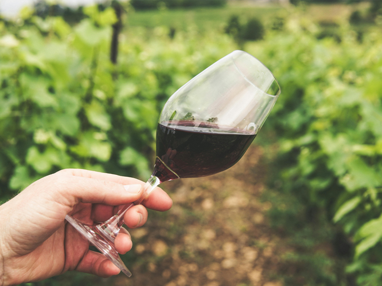 Baron Philippe de Rothschild forms latest French captive