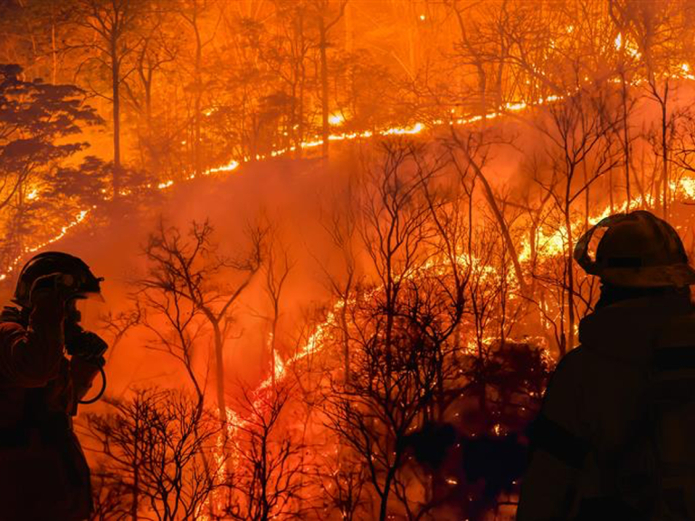 LA wildfires fuel captive interest despite limited direct impact  