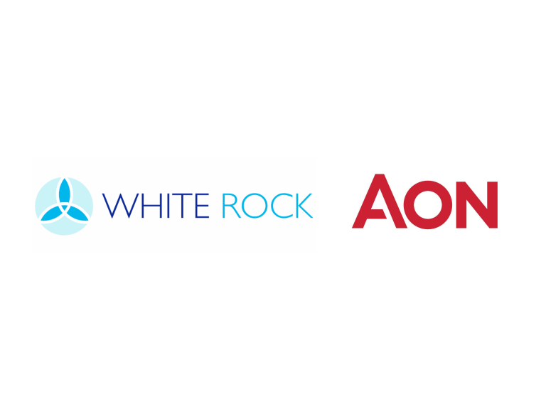 Network collaboration key to Aon’s EB cell captive solution